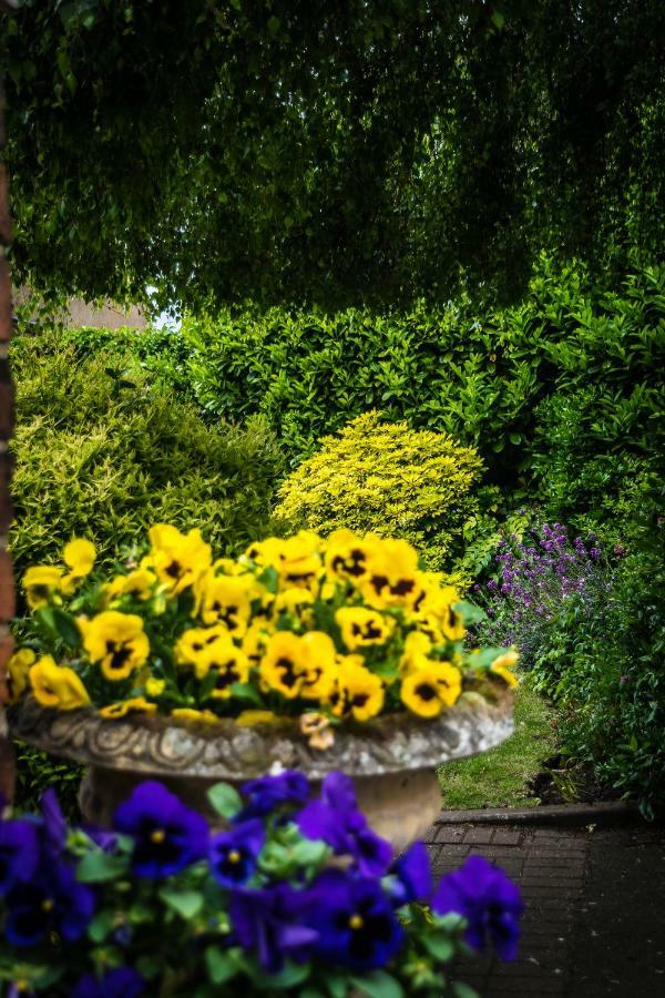 The Cottage Hotel Bradmore  エクステリア 写真